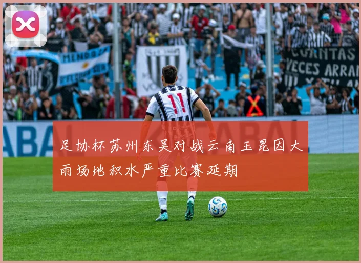足协杯苏州东吴对战云南玉昆因大雨场地积水严重比赛延期