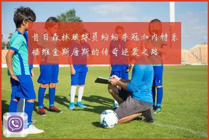 昔日森林狼球员纷纷夺冠加内特乐福维金斯唐斯的传奇逆袭之路