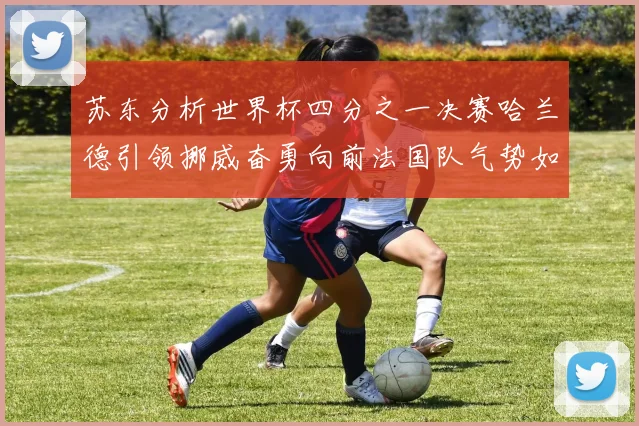 苏东分析世界杯四分之一决赛哈兰德引领挪威奋勇向前法国队气势如虹